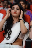 Samantha Photos at SVSC 3 Platinum Disc